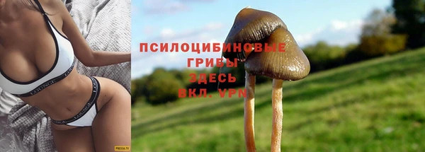 гидропоника Краснослободск