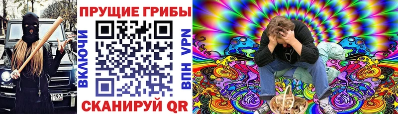 Псилоцибиновые грибы Psilocybe  Купить  Отрадная 